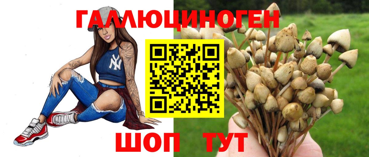 Псилоцибиновые грибы Cubensis Миллерово