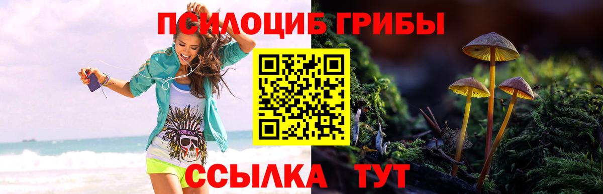 Галлюциногенные грибы прущие грибы  Вход с VPN  Миллерово 